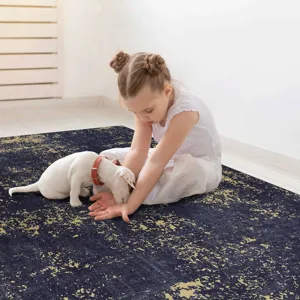 2\'6\'\' X 10\' Area Rugs, Washable Rug, Low-Pile, Non-Slip, Non-Shedding, Foldable, Kid & Pet Frien