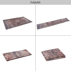 2\' x 3\' Washable Area Rugs, Low-Pile, Non-Slip, Non-Shedding, Foldable, Kid & Pet Friendly Area Ru