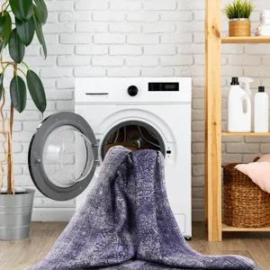 2\' x 3\' Machine Washable Area Rugs, Low-Pile, Non-Slip, Non-Shedding, Foldable, Kid & Pet Friendly