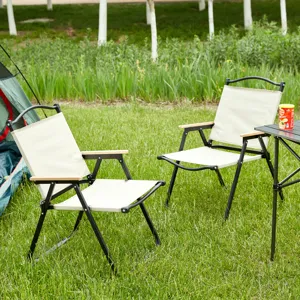 Folding Outdoor Chairs For Indoor, Outdoor Camping, Picnics, Beach, Backyard, Bbq, Party, Patio (Set