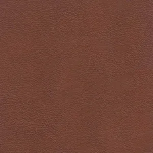 Aiden - Leather Chair - Brown