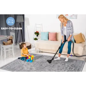 5\' x 7\' Oriental Non-Shedding Living Room Bedroom Dining Home Office Stylish And Stain Resistant A