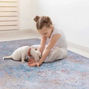 2\' x 3\' Machine Washable Area Rugs, Low-Pile, Non-Slip, Non-Shedding, Foldable, Kid & Pet Friendly