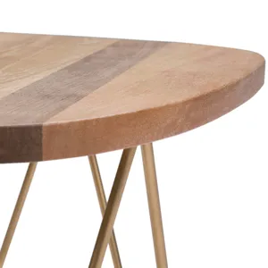 Patrice - Metal and Wood Accent Table - Natural / Gold