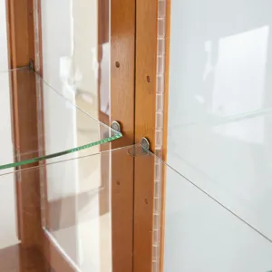 Curio Cabinet Lighted Curio Diapaly Cabinet With Adjustable Shelves And Mirrored Back Panel, Tempere