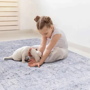 2\' x 3\' Machine Washable Area Rugs, Low-Pile, Non-Slip, Non-Shedding, Foldable, Kid & Pet Friendly