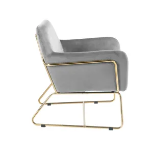 Keira - Velvet Accent Chair With Metal Base - Gray