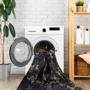 2\'6\'\' X 10\' Area Rugs, Washable Rug, Low-Pile, Non-Slip, Non-Shedding, Foldable, Kid & Pet Frien