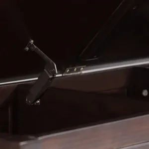 Connaught - Storage Bench Trunk - Dark Chestnut Brown