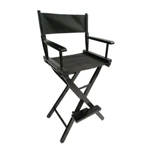 Casual Home Director\'s Chair, Foldable Style, Suitable For Adults (Set of 2) - Black