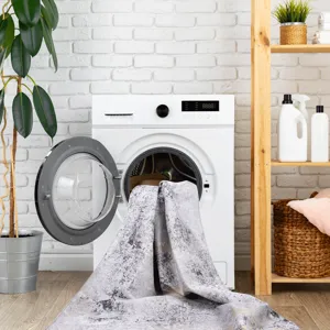 2\'6\'\' X 10\' Area Rugs, Washable Rug, Low-Pile, Non-Slip, Non-Shedding, Foldable, Kid & Pet Frien