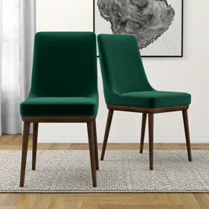 Kate - Mid-Century Modern Dining Chair (Set of 2) - Multi