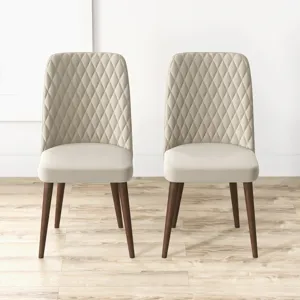 Katie - Mid-Century Modern Velvet Dining Chair (Set of 2) - Multi