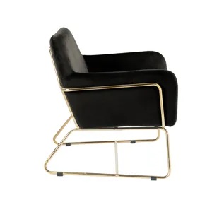 Keira - Velvet Accent Chair With Metal Base - Black