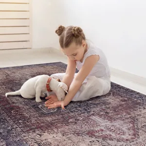 2\' x 3\' Washable Area Rugs, Low-Pile, Non-Slip, Non-Shedding, Foldable, Kid & Pet Friendly Area Ru
