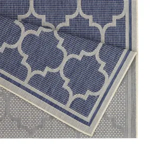 Sunshine - 2\'7\" X 7\'3\" Indoor / Outdoor Area Rug - Blue - Polypropylene