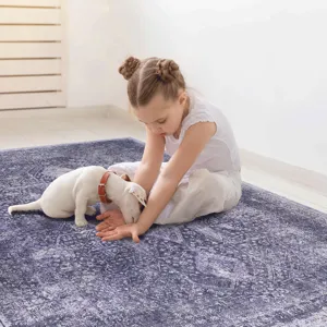 2\' x 3\' Machine Washable Area Rugs, Low-Pile, Non-Slip, Non-Shedding, Foldable, Kid & Pet Friendly