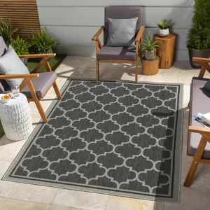Sunshine - 2\'7\" X 7\'3\" Polypropylene Indoor / Outdoor Area Rug - Anthracite