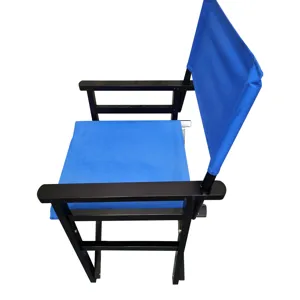 Folding Director Chair Canvas (Set of 2) - Blue