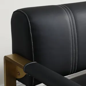 Modern Upholstery Accent Loveseat Sofa For Living Room 2 Seater With Golden Metal Arms - Black