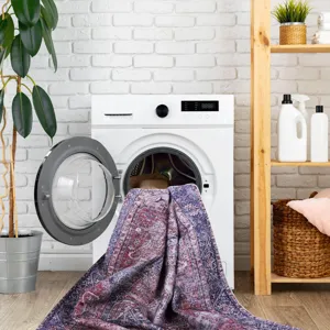 2\' x 3\' Washable Area Rugs, Low-Pile, Non-Slip, Non-Shedding, Foldable, Kid & Pet Friendly Area Ru