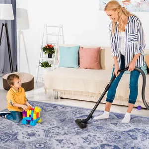 2\'6\'\' x 10\' Area Rug, Washable Rug, Low-Pile, Non-Slip, Non-Shedding, Foldable, Kid & Pet Friend