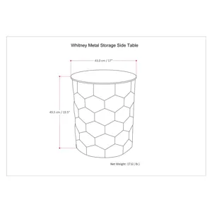 Whitney - Metal Storage Side Table - Antique Silver