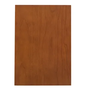 Curio Cabinet Lighted Curio Diapaly Cabinet With Adjustable Shelves And Mirrored Back Panel, Tempere