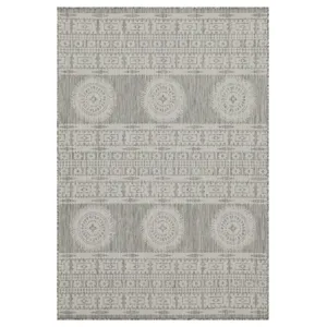 Sunshine - 2\'7\" X 7\'3\" Indoor / Outdoor Area Rug - Silver