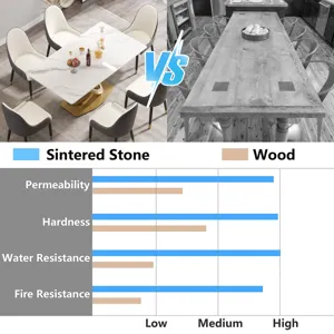 63\" Modern Artificial Stone Panel Double-Ring Stainless Steel Metal Legs, Can Accommodate 6-8 Peopl