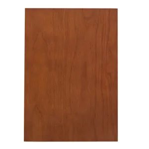 Curio Cabinet Lighted Curio Diapaly Cabinet With Adjustable Shelves And Mirrored Back Panel, Tempere