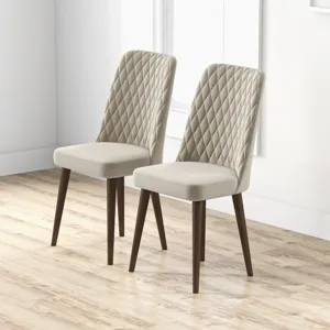 Katie - Mid-Century Modern Velvet Dining Chair (Set of 2) - Multi