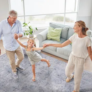 3\' x 5\' Area Rug, Washable Rug, Low-Pile, Non-Slip, Non-Shedding, Foldable, Kid & Pet Friendly Are