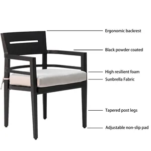 Outdoor Patio Aluminum Stationary Dining Chairs With Outdoor-Grade Sunbrella Fabric Cushions, Tapere