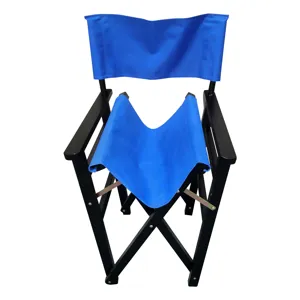 Folding Director Chair Canvas (Set of 2) - Blue