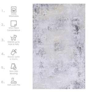 2\'6\'\' X 10\' Area Rugs, Washable Rug, Low-Pile, Non-Slip, Non-Shedding, Foldable, Kid & Pet Frien