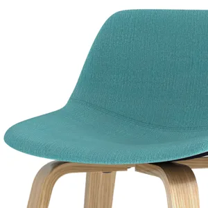 Randolph - Bentwood Counter Height Stool (Set of 2) - Aqua Blue / Light Brown