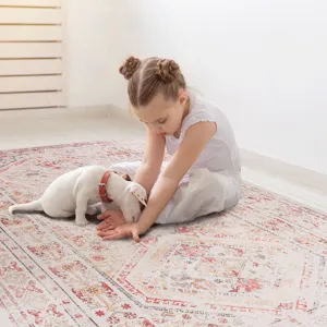 6\' x 9\' Area Rugs, Washable Rug, Low-Pile, Non-Slip, Non-Shedding, Foldable, Kid & Pet Friendly Ar