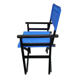 Folding Director Chair Canvas (Set of 2) - Blue