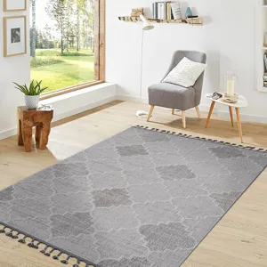 5\' x 7\' Trellis Indoor / Outdoor Area Rug - White / Gray