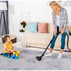 2\'6\'\' X 10\' Area Rugs, Washable Rug, Low-Pile, Non-Slip, Non-Shedding, Foldable, Kid & Pet Frien