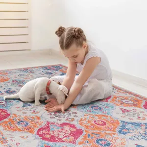 2\' x 3\' Area Rug, Washable Area Rugs, Low-Pile, Non-Slip, Non-Shedding, Foldable, Kid & Pet Friend