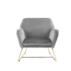Keira - Velvet Accent Chair With Metal Base - Gray