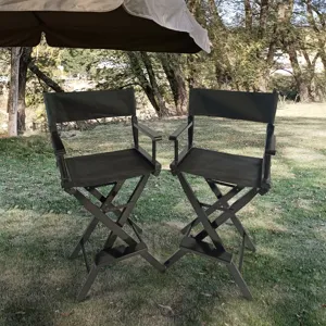 Casual Home Director\'s Chair, Foldable Style, Suitable For Adults (Set of 2) - Black