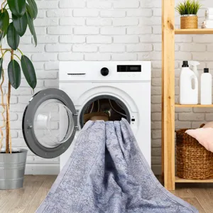 2\' x 3\' Machine Washable Area Rugs, Low-Pile, Non-Slip, Non-Shedding, Foldable, Kid & Pet Friendly