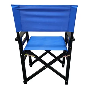 Folding Director Chair Canvas (Set of 2) - Blue