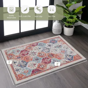 2\' x 3\' Area Rug, Washable Area Rugs, Low-Pile, Non-Slip, Non-Shedding, Foldable, Kid & Pet Friend