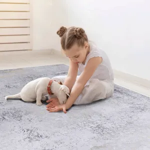 2\'6\'\' X 10\' Area Rugs, Washable Rug, Low-Pile, Non-Slip, Non-Shedding, Foldable, Kid & Pet Frien