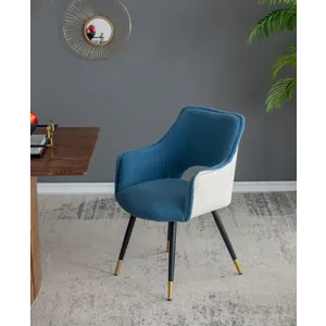 Fabric Side Chair, Living Room Bedroom Kitchen Vanity Accent Chair (Set of 2) - Blue