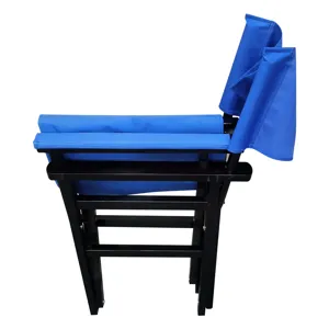 Folding Director Chair Canvas (Set of 2) - Blue